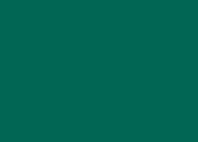 MANTEL VERDE 30*40 CELULOSA EXTRA